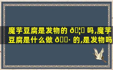 魔芋豆腐是发物的 🦟 吗,魔芋豆腐是什么做 🕷 的,是发物吗